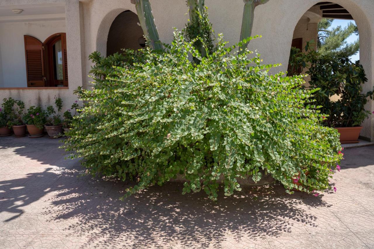 Bed and Breakfast Terrazza Sul Plemmirio Syracuse Екстер'єр фото